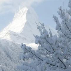 Chalet Lumiere - Bild 9
