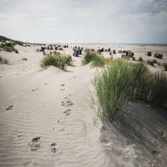 Winkelschiffchen I - Bild 19