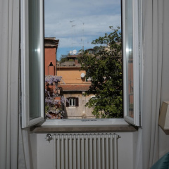 AGH Babuino - Bild 12