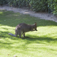 Hotel Jardin Des Plantes - Bild 19