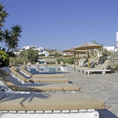 Vienoula's Garden thumbnail 24