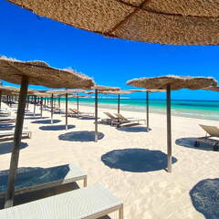 @Dar El Olf in Jerba, Tunisia from 117$, photos, reviews - zenhotels.com photo 6