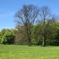 Radisson Blu Hotel, Bremen - Bild 30