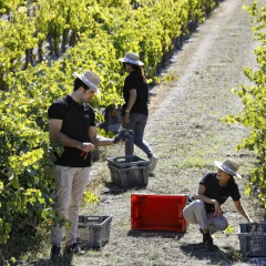 Abadia Retuerta Ledomaine thumbnail 28
