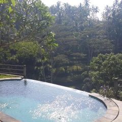 Wedang Villa - Bild 1