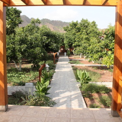 Apella Hotel - Bild 11