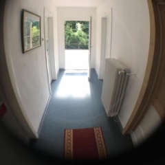 Zimmerfrei - Bild 13