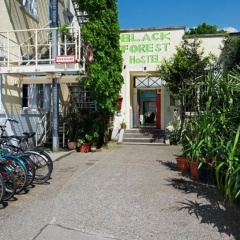 Black Forest Hostel - Bild 3