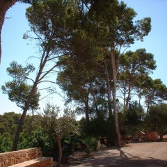 Villa Na Gat - Bild 8