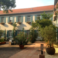Domhof - Bild 11
