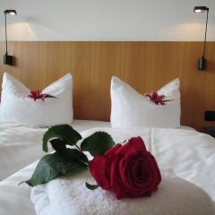 Carat - Bild 3