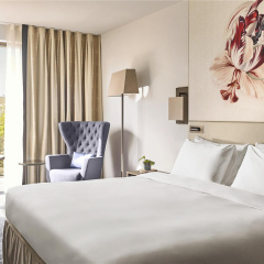 Hyatt Regency Amsterdam thumbnail 32