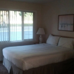Bay Bridge Motel thumbnail 27