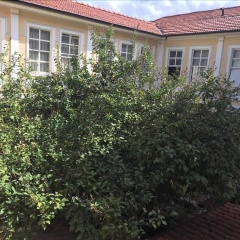 Antik Han Hotel - Special Class - Bild 1