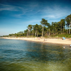 Cottage in Cisowo Near Baltic Coast Beach thumbnail 12
