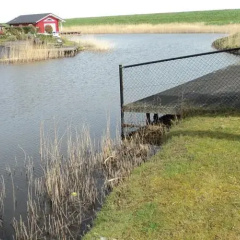 De Krabbenkreek thumbnail 2