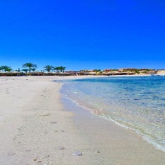 Sharm El Naga Resort and Diving Center - Bild 15