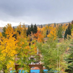 Woodrun Place, a Destination by Hyatt Residence thumbnail 11
