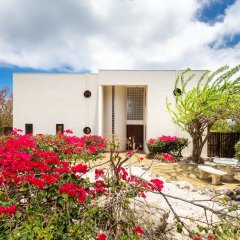 Villa Mexicana ✰ Artistic ✰ Rare find ✰ Art Deco in St. Marie, Curacao from 533$, photos, reviews - zenhotels.com photo 17