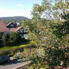 Hexe I - mit Blick auf den Wurmberg thumbnail 15
