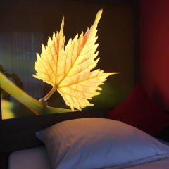 ALEMBRA - Wein Style Hotel - Bild 3
