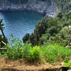 Villa Campitiello thumbnail 10