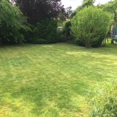 Entire house, quiet city location, garden, parking - Bild 2