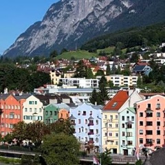Schwarzer Br - Bild 10