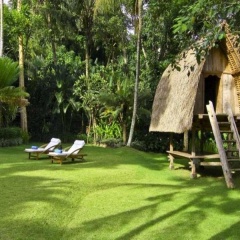 The Lotus Residence - Bild 6