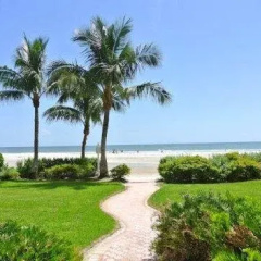 The Original Beachcomber Daily thumbnail 13