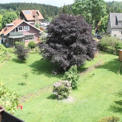 Ulrichshof - Bild 11