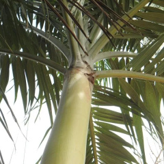 Tharindu Guest House thumbnail 11