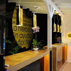 Hotel Domus - Bild 14
