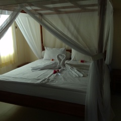 Starlight Restaurant & Bungalows - Bild 2