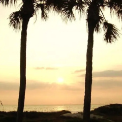 Sweet Symphony thumbnail 9