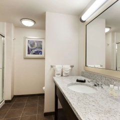 Hampton Inn & Suites Camp Springs/Andrews AFB thumbnail 7