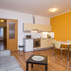 3D Apartments in Prague, Czech Republic from 184$, photos, reviews - zenhotels.com meals