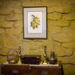 The Burrow At Wombat Bend thumbnail 9