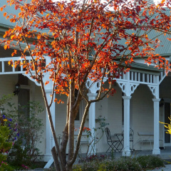 Yarra Gables thumbnail 1