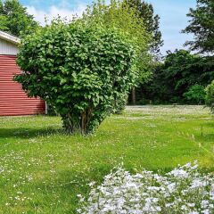 Отель 6 Person Holiday Home in Nibe Дания, Нибе - отзывы, цены и фото номеров - забронировать отель 6 Person Holiday Home in Nibe онлайн фото 42