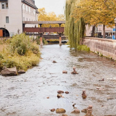 Gästehaus Lauergasse 39 - Bild 10