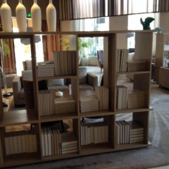 Joya Wuhan Optics Valley thumbnail 15