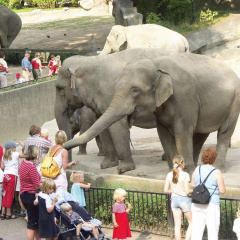 Park-Hotel Hagenbeck - Bild 26