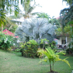 Patong Palace Hotel - Bild 18