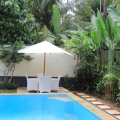 Villa Kupu Kupu Lovina - Bild 4