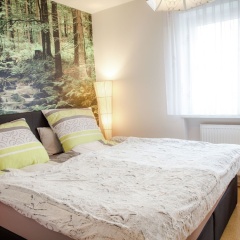 Bright Apartment With Balcony Outside the City Centre of Regensburg - Bild 3