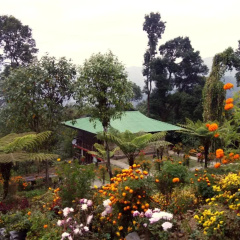The Barfung Retreat thumbnail 15