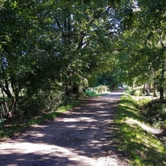 Lieblingsplatz - Bild 1