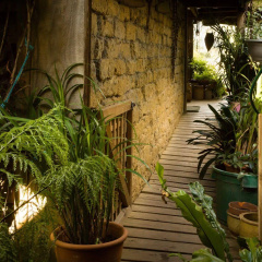 The Burrow At Wombat Bend thumbnail 2