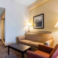 Comfort Suites Murfreesboro in Murfreesboro, United States of America from 148$, photos, reviews - zenhotels.com photo 11